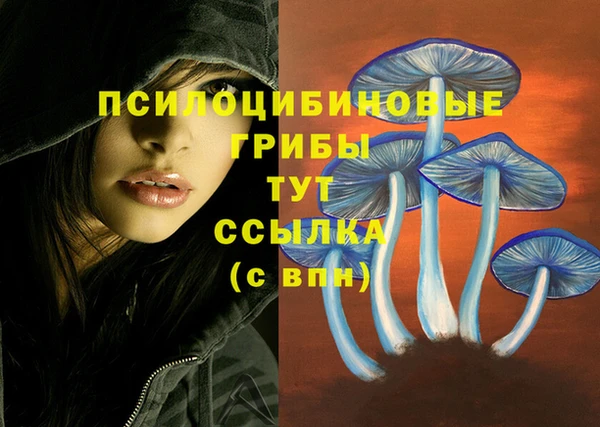 амф Абаза