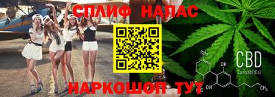 Альфа ПВП Можайск