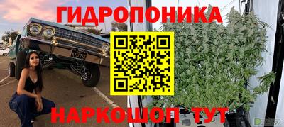Альфа ПВП Можайск